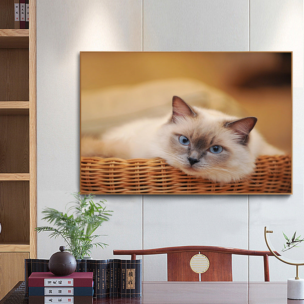 Cat - Full Round Drill Diamond Painting 30*40CM