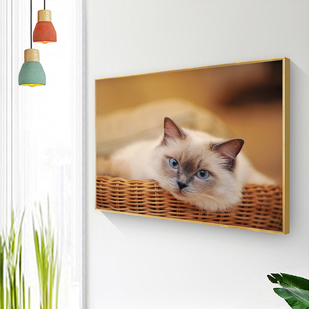 Cat - Full Round Drill Diamond Painting 30*40CM