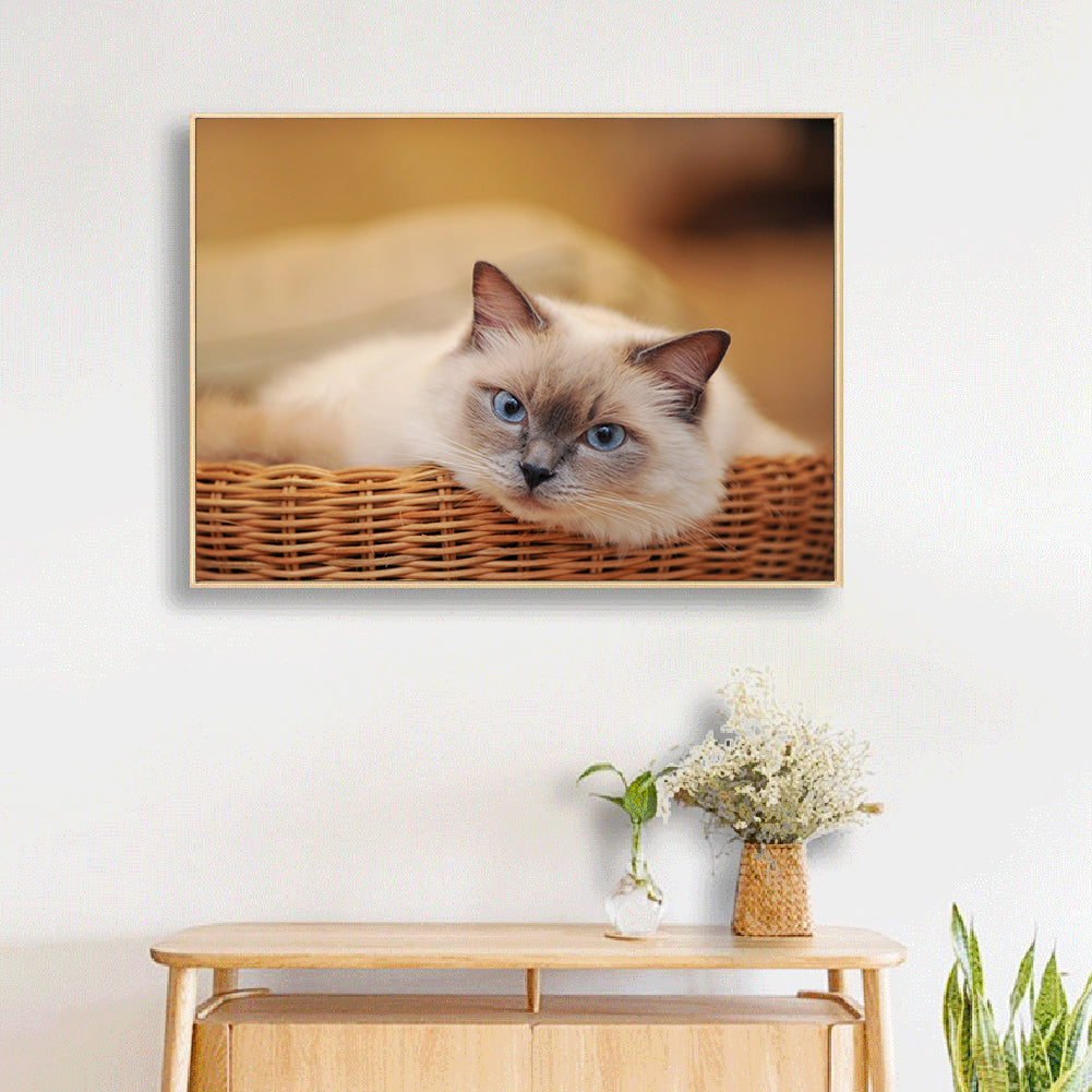 Cat - Full Round Drill Diamond Painting 30*40CM