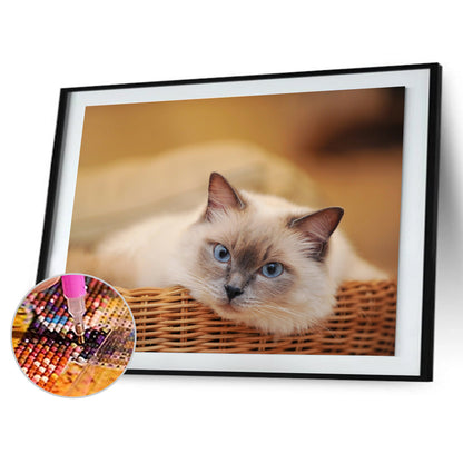 Cat - Full Round Drill Diamond Painting 30*40CM