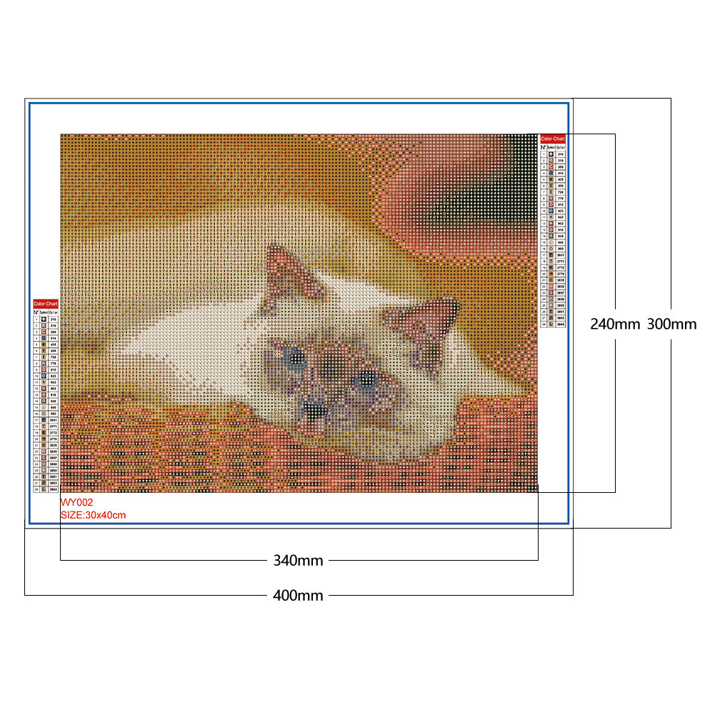 Cat - Full Round Drill Diamond Painting 30*40CM