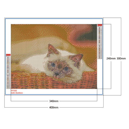 Cat - Full Round Drill Diamond Painting 30*40CM