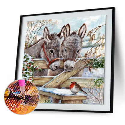 Donkey - Full Round Drill Diamond Painting 40*40CM