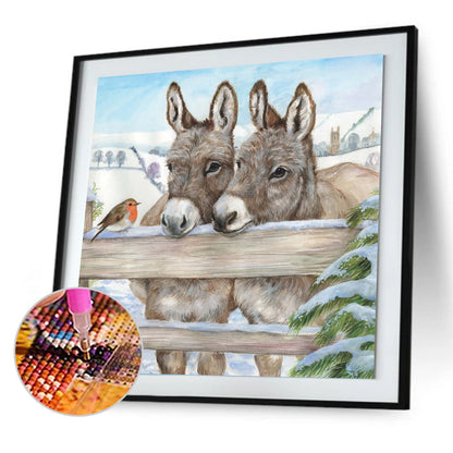 Donkey - Full Round Drill Diamond Painting 40*40CM