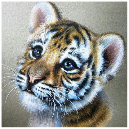 Tiger - Full Round Drill Diamond Painting 30*30CM