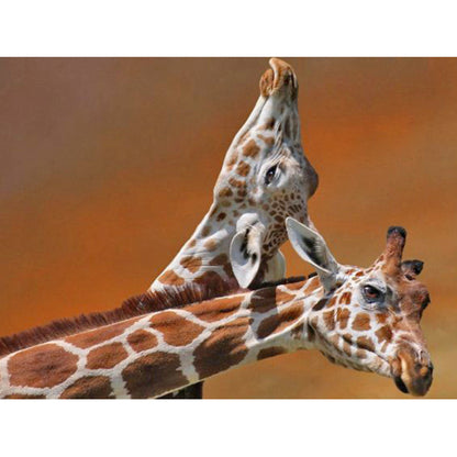 Giraffe - Full Round Drill Diamond Painting 30*40CM