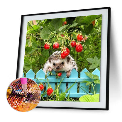 Hedgehog - Full Round Drill Diamond Painting 30*30CM