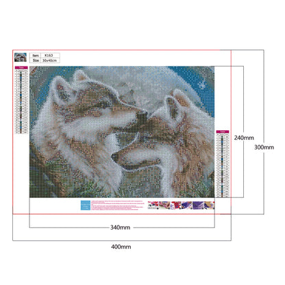 Two Wolf - Full Round Drill Diamond Painting 30*40CM