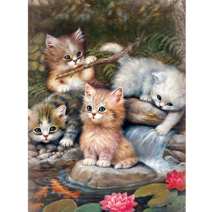 Cat - Full Round Drill Diamond Painting 30*40CM