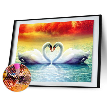 Swan - Full Square Drill Diamond Painting 50*40CM