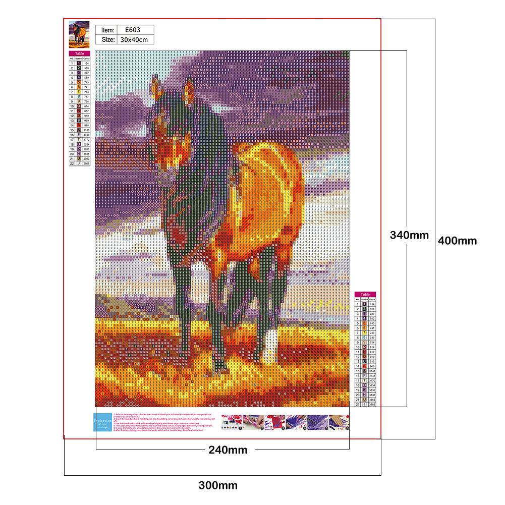 Horse - Full Round Drill Diamond Painting 30*40CM