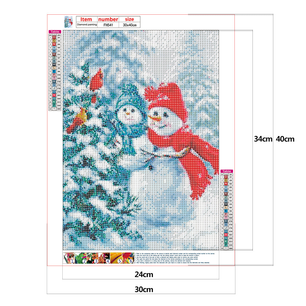 Snowman Bird - Full Round Drill Diamond Painting 30*40CM