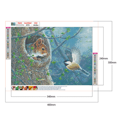 Squirrel Bird - Full Round Drill Diamond Painting 40*30CM