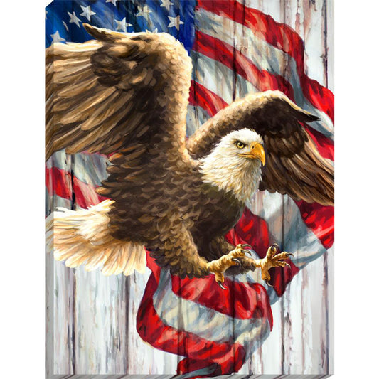 USA Eagle - Full Round Drill Diamond Painting 30*40CM