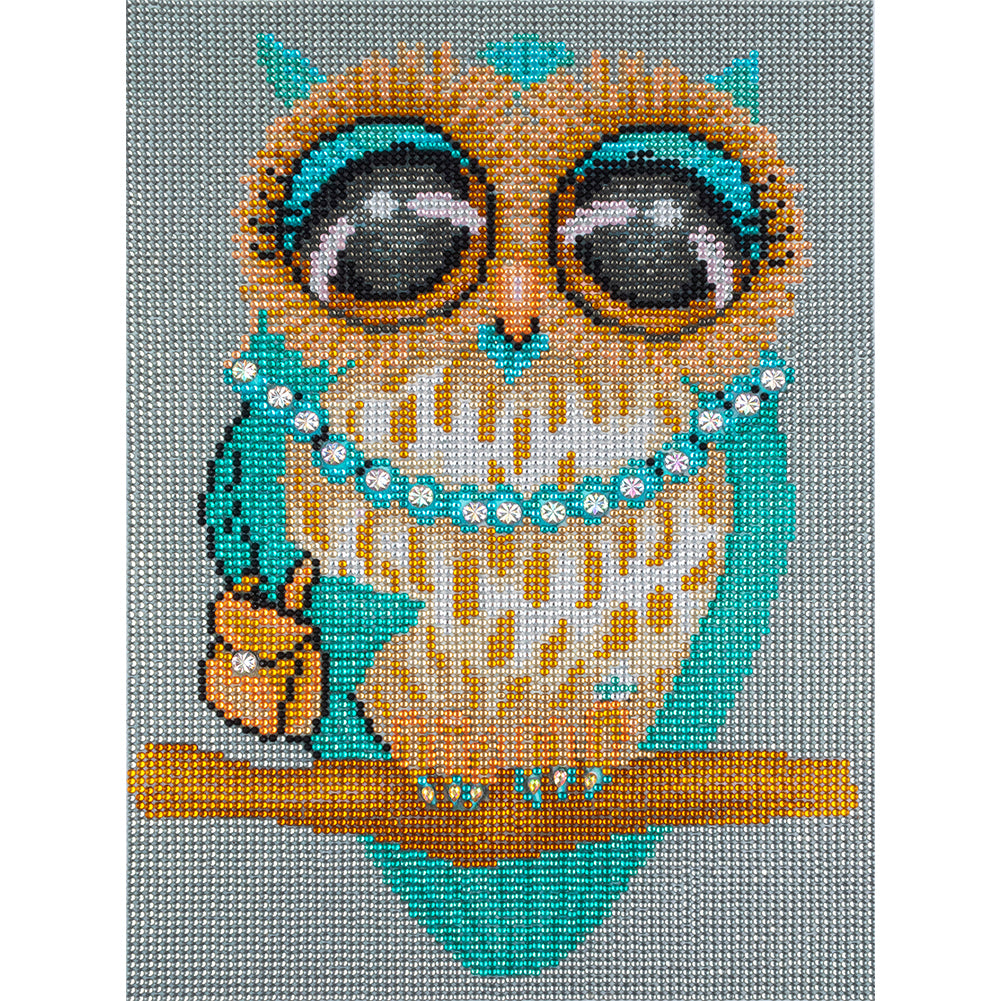 Owl - Special Shaped Drill Diamond Painting 30*40CM