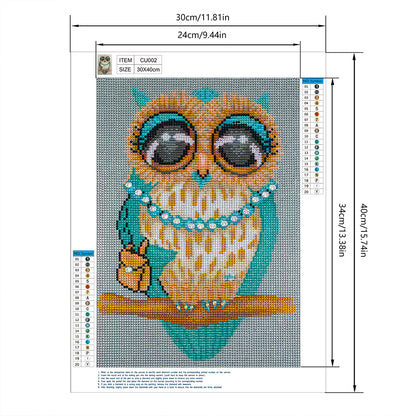 Owl - Special Shaped Drill Diamond Painting 30*40CM