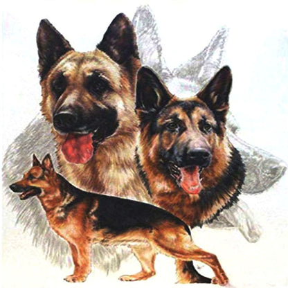 Dogs - Full Round Drill Diamond Painting 40*40CM