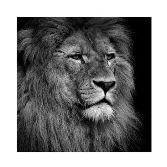 Lion - Full Round Drill Diamond Painting 30*30CM