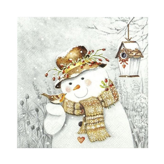 Snowman Bird - Full Round Drill Diamond Painting 30*30CM