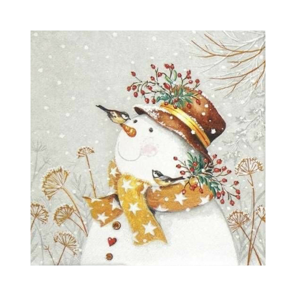 Snowman Bird - Full Round Drill Diamond Painting 30*30CM