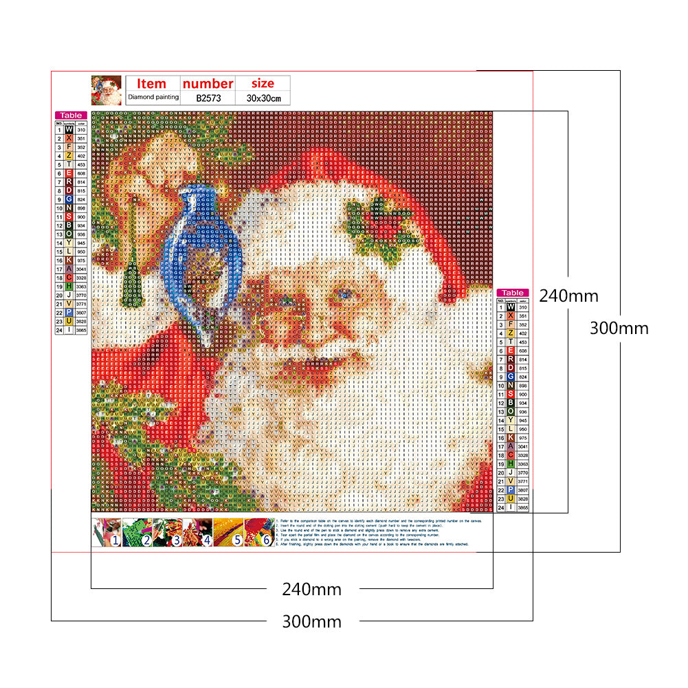 Santa Claus - Full Round Drill Diamond Painting 30*30CM