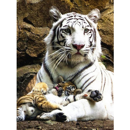 Tiger - Full Round Drill Diamond Painting 50*60CM