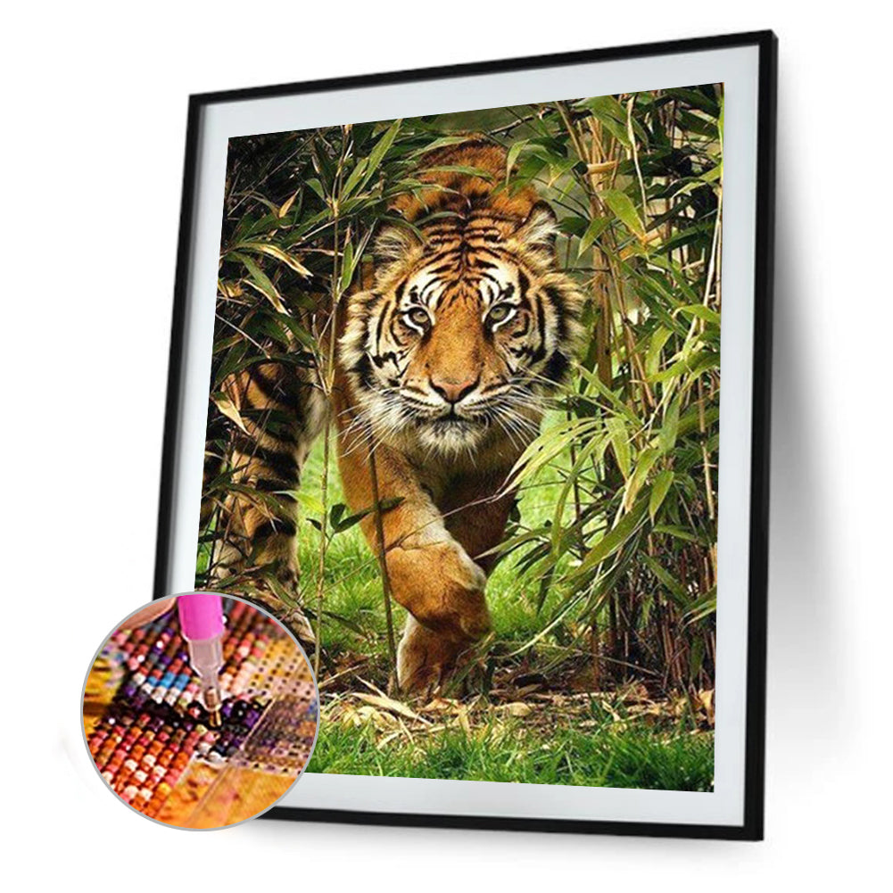 Tiger - Full Round Drill Diamond Painting 50*60CM