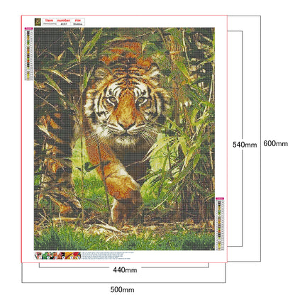 Tiger - Full Round Drill Diamond Painting 50*60CM