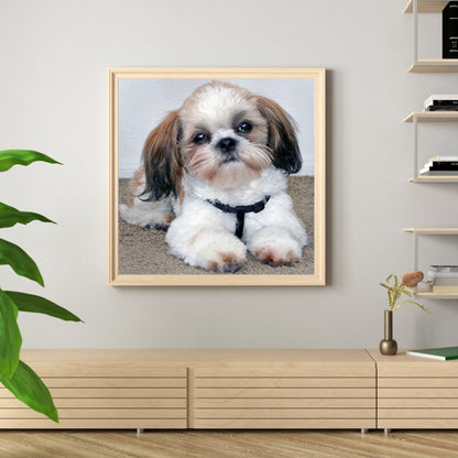 Puppy - Full Square Drill Diamond Painting 50*50CM