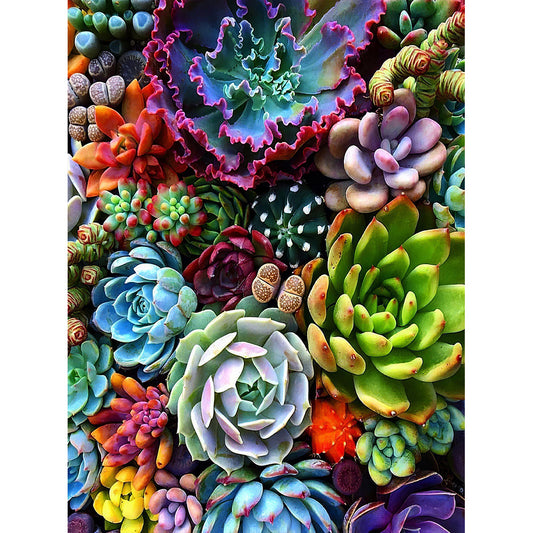 Succulent - Full Round Drill Diamond Painting 40*30CM