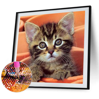 Cat - Full Square Drill Diamond Painting 50*50CM