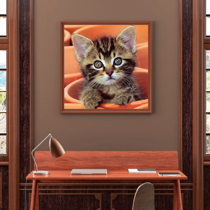 Cat - Full Square Drill Diamond Painting 50*50CM