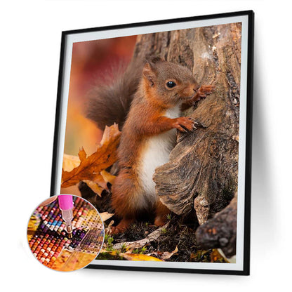 Squirrel - Full Round Drill Diamond Painting 30*40CM