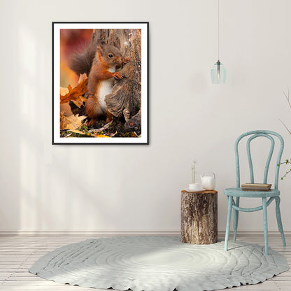 Squirrel - Full Round Drill Diamond Painting 30*40CM