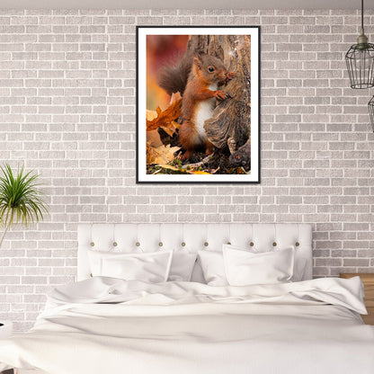 Squirrel - Full Round Drill Diamond Painting 30*40CM