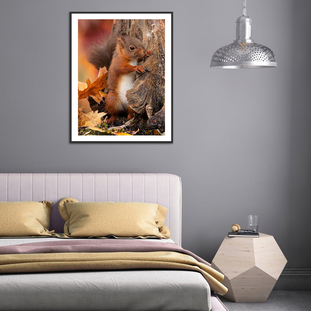 Squirrel - Full Round Drill Diamond Painting 30*40CM