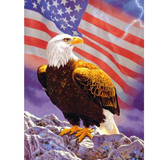 Flag Eagle - Full Square Drill Diamond Painting 30*40CM