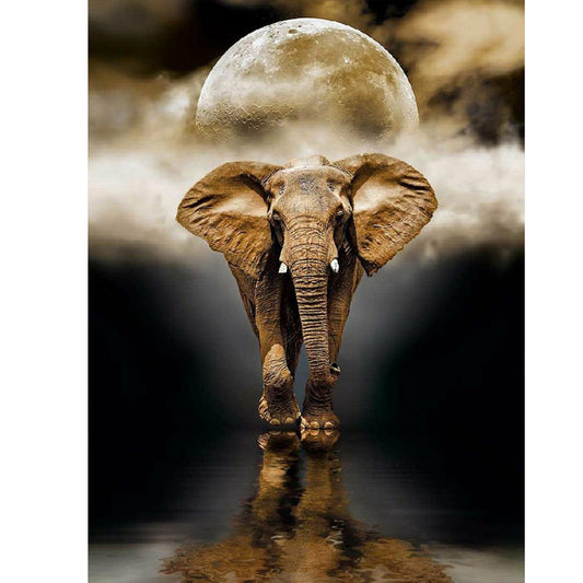 Elephant - Full Round Drill Diamond Painting 50*60CM