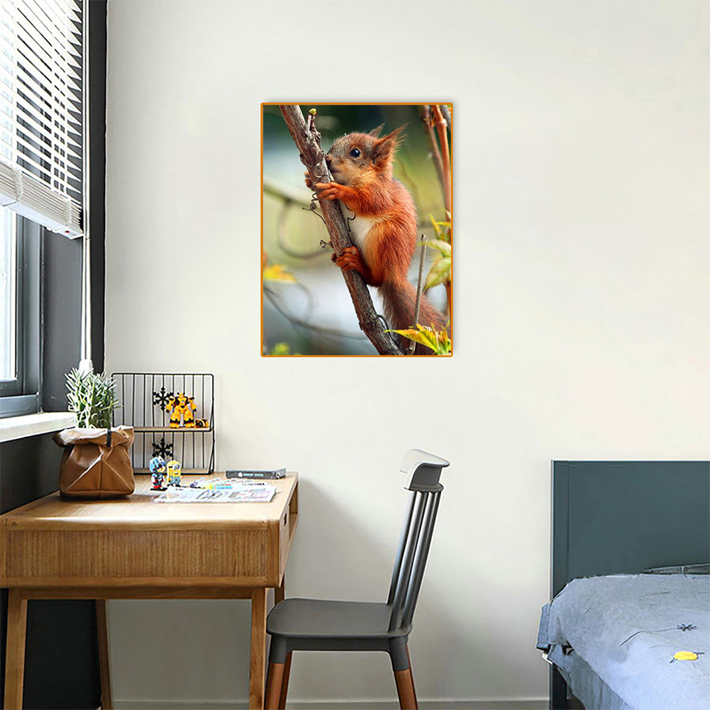 Squirrel - Full Round Drill Diamond Painting 30*40CM