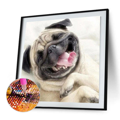 Shar Pei - Full Round Drill Diamond Painting 40*40CM