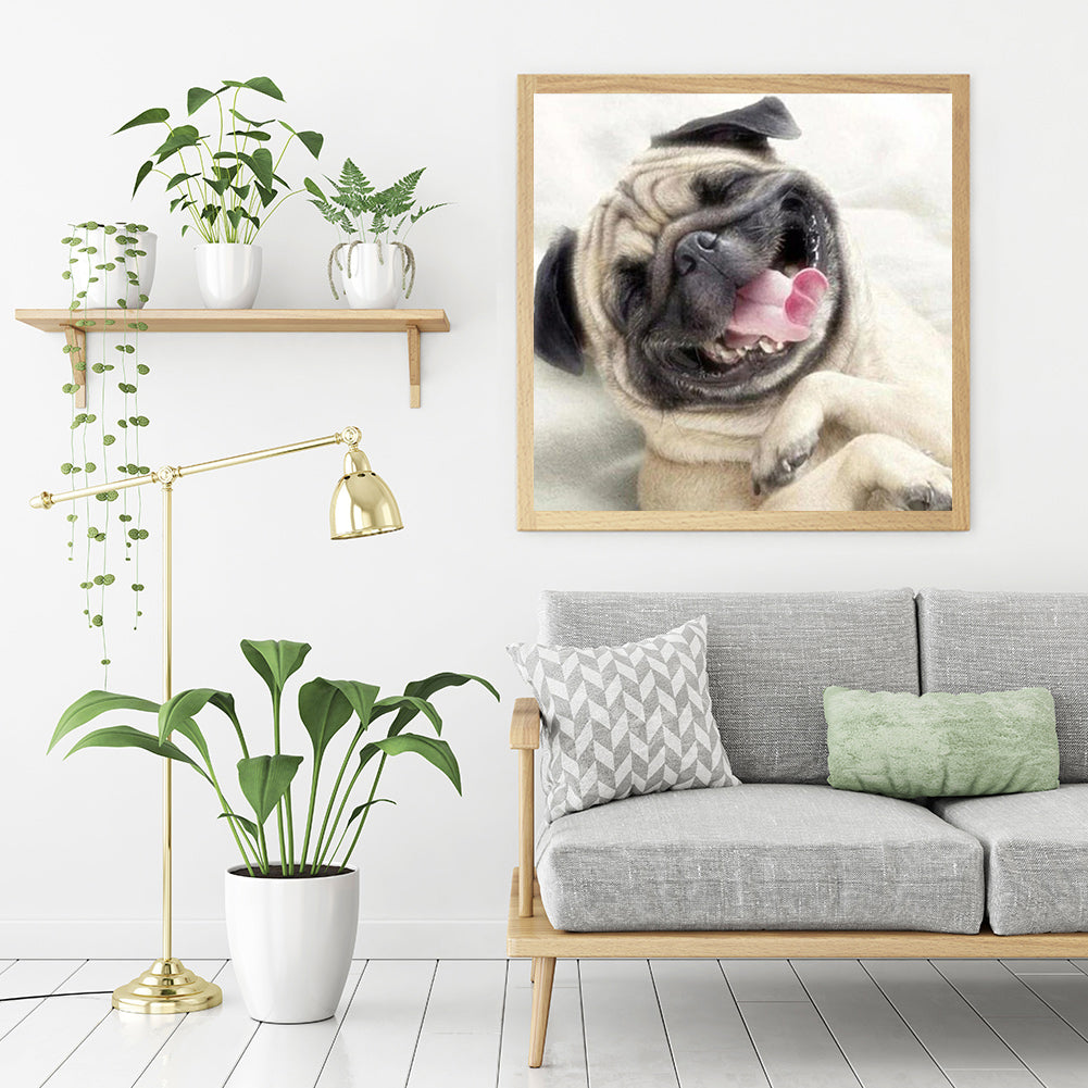 Shar Pei - Full Round Drill Diamond Painting 40*40CM