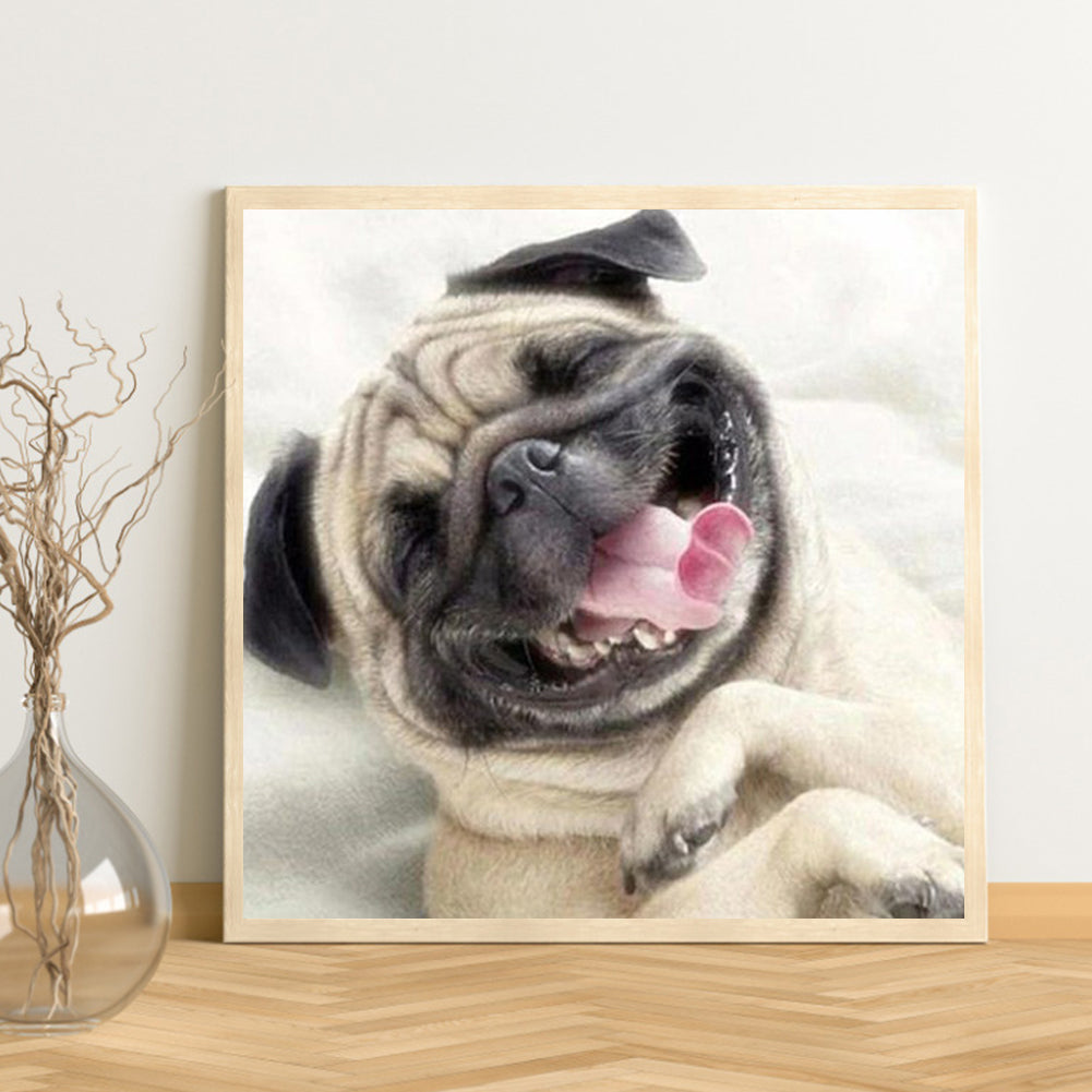 Shar Pei - Full Round Drill Diamond Painting 40*40CM