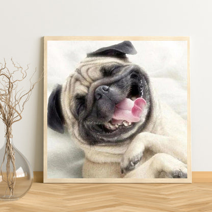 Shar Pei - Full Round Drill Diamond Painting 40*40CM
