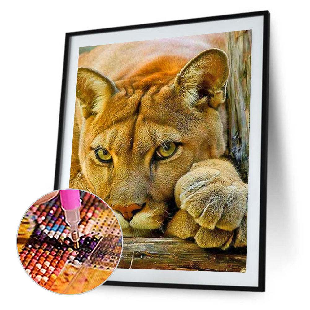 Lion - Full Round Drill Diamond Painting 40*50CM
