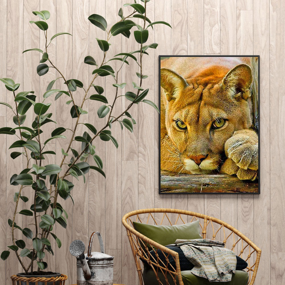 Lion - Full Round Drill Diamond Painting 40*50CM