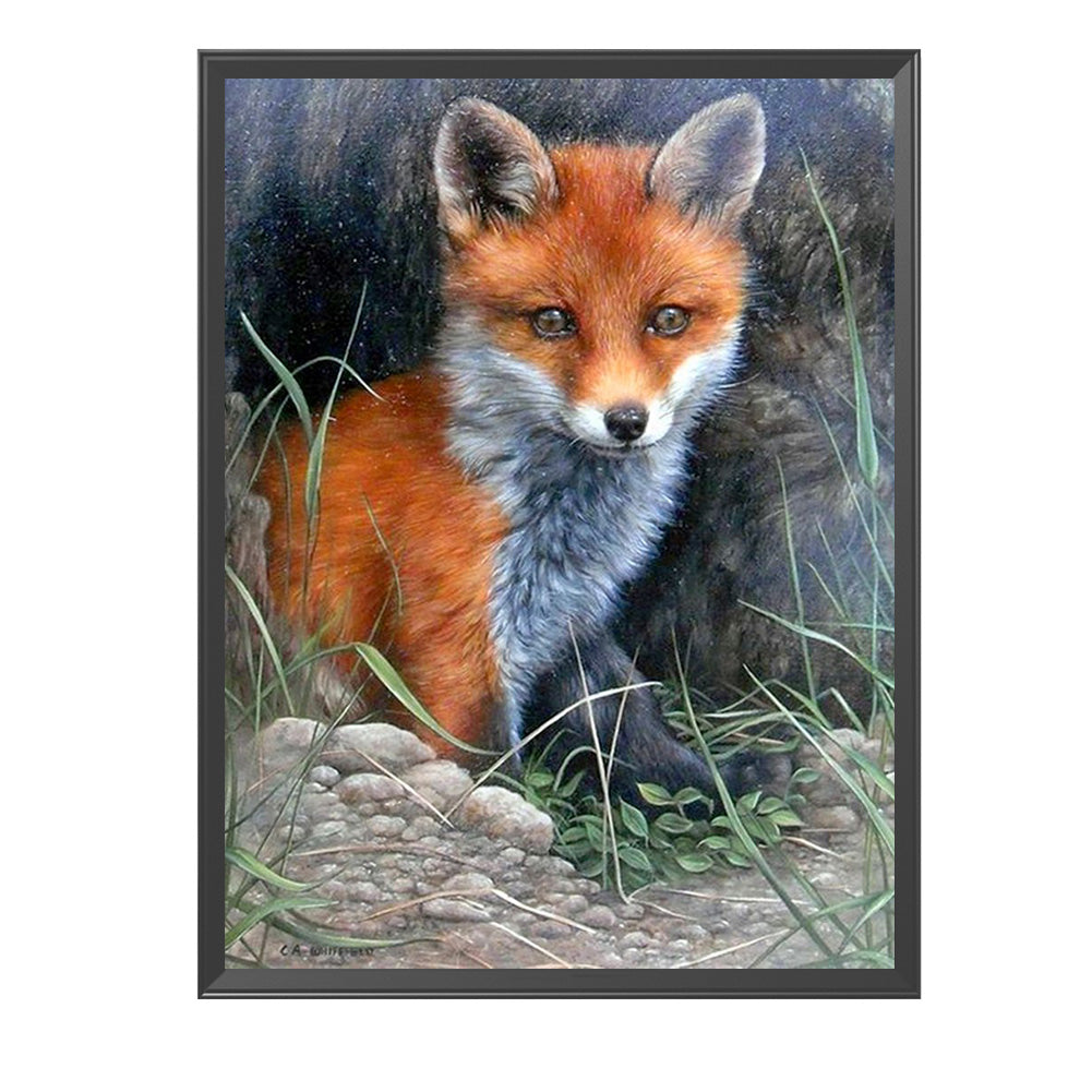 Fox - 11CT Counted Cross Stitch 36*48CM