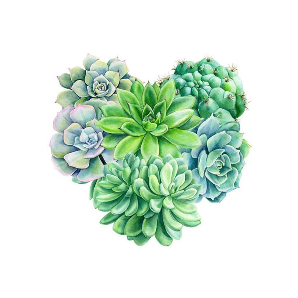 Succulent Bouquet - Full Round Drill Diamond Painting 30*30CM