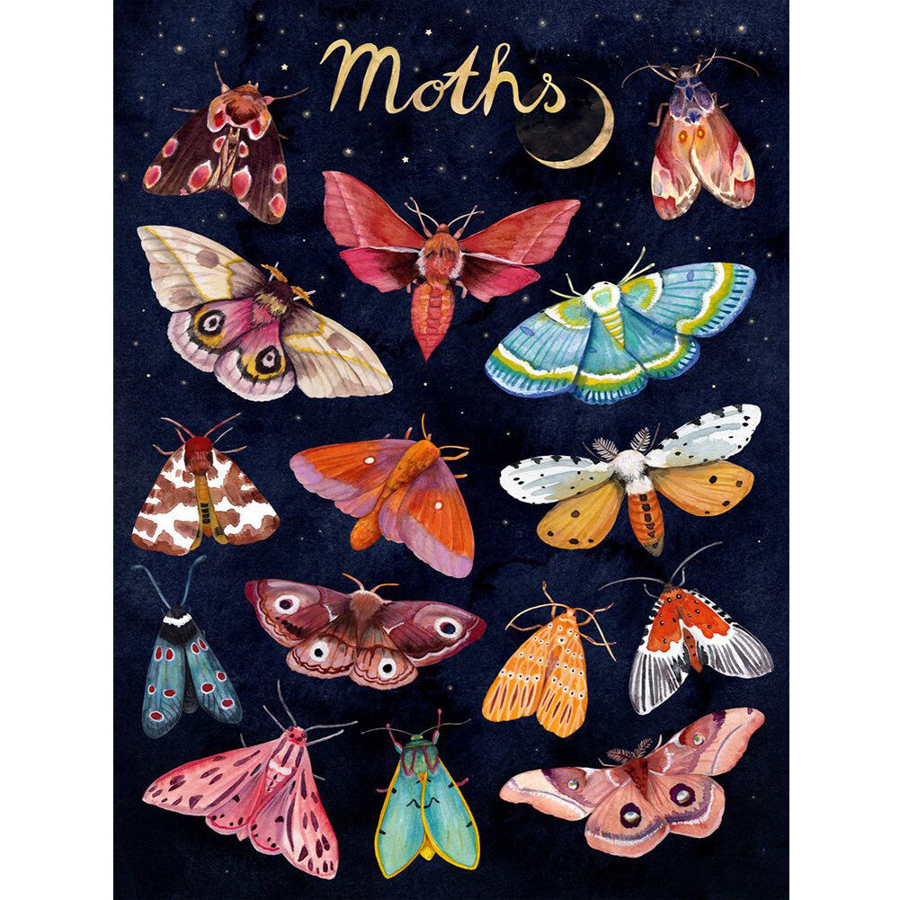 Moth - 11CT Stamped Cross Stitch 40*50CM