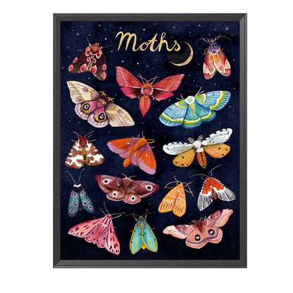 Moth - 11CT Stamped Cross Stitch 40*50CM