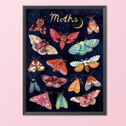 Moth - 11CT Stamped Cross Stitch 40*50CM